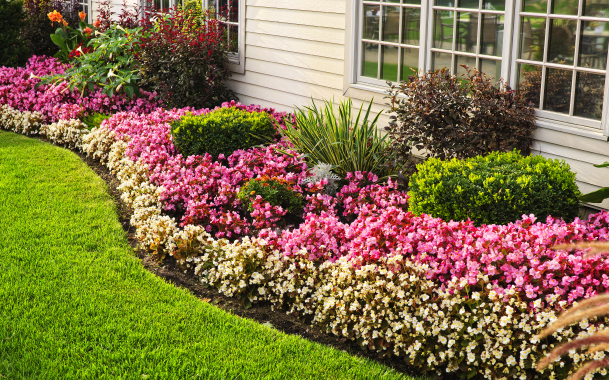 Edging Edged Flower Garden with Pink and Yellow Flowers